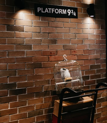 Harry Potter