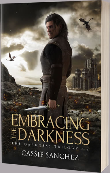 Embracing the Darkness book cover